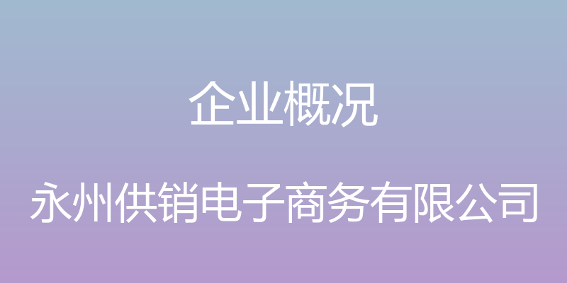 企业概况 - 永州供销电子商务有限公司